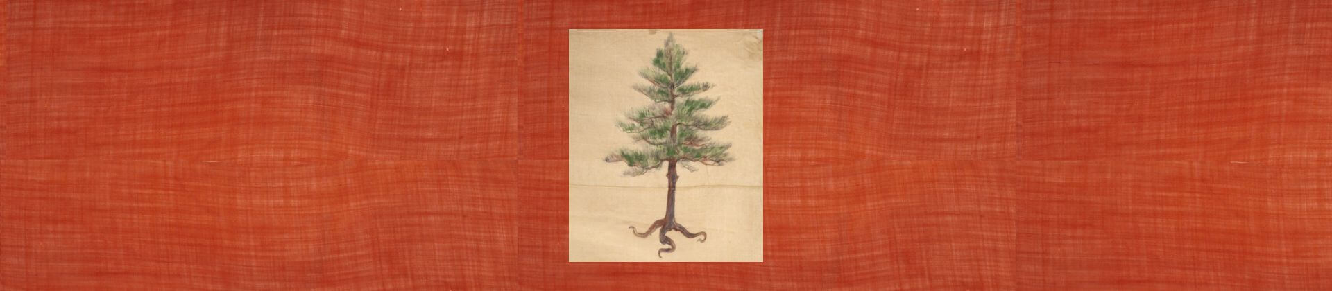 Untitled design